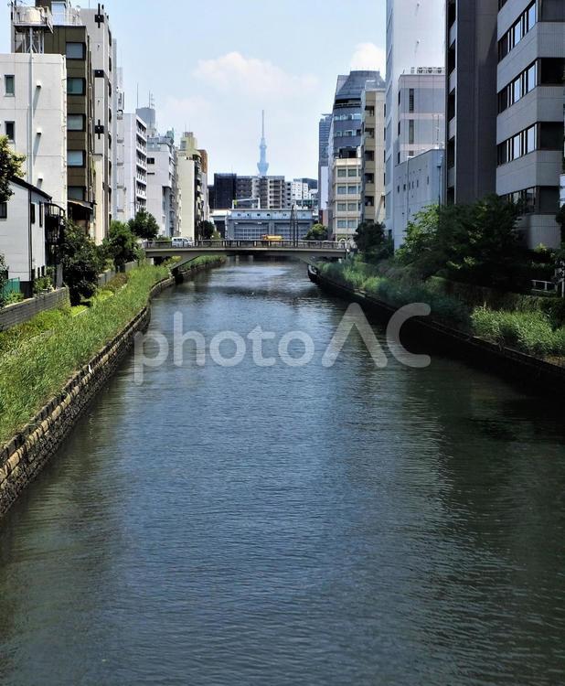 亀島橋から見るスカイツリーと黄色いトラック２ 亀島橋,新川,スカイツリーの写真素材