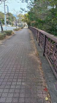 歩道 博多の森 歩道 博多の森 の写真
