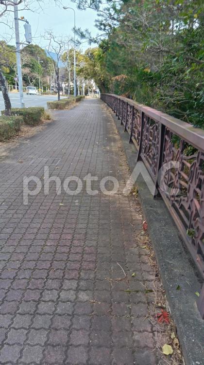 歩道　博多の森　　 歩道,博多の森,設備の写真素材