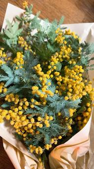 みもざ　花束 ミモザ,みもざ,花束の写真素材