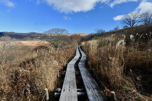 八島湿原の写真