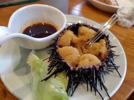 大連の海鮮レストラン海味当家で食べたウニ 大連の海鮮レストラン海味当家で食べたウニ ウニ,海鮮,シーフードの写真素材