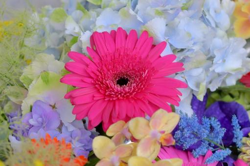 花手水 花手水の写真