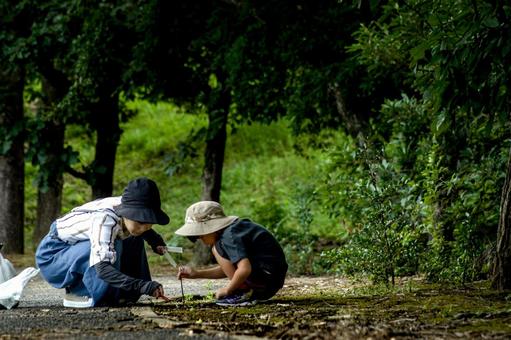 <素材>夏の公園で自由研究に虫を探す家族 <素材>夏の公園で自由研究に虫を探す家族の写真
