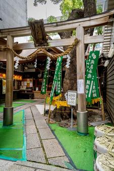 大阪 少彦名神社 本殿 大阪 少彦名神社 本殿 少彦名神社,少彦名,神社の写真素材