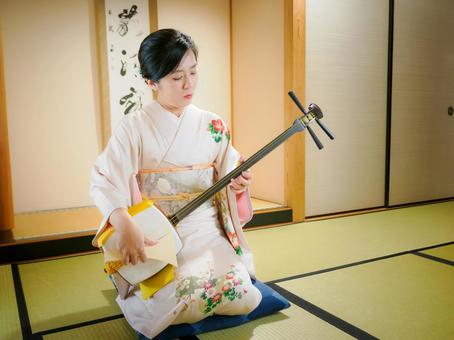 33:三味線を演奏する和服の女性 33:三味線を演奏する和服の女性 三味線,着物,伝統芸能の写真素材