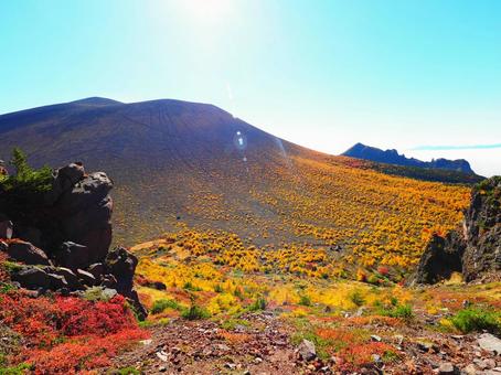 紅葉(黒斑山・浅間山) 紅葉(黒斑山・浅間山) 紅葉,もみじ,秋の写真素材