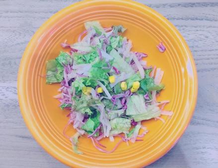 カラフルなイタリアンサラダ サラダ,野菜,生野菜の写真素材