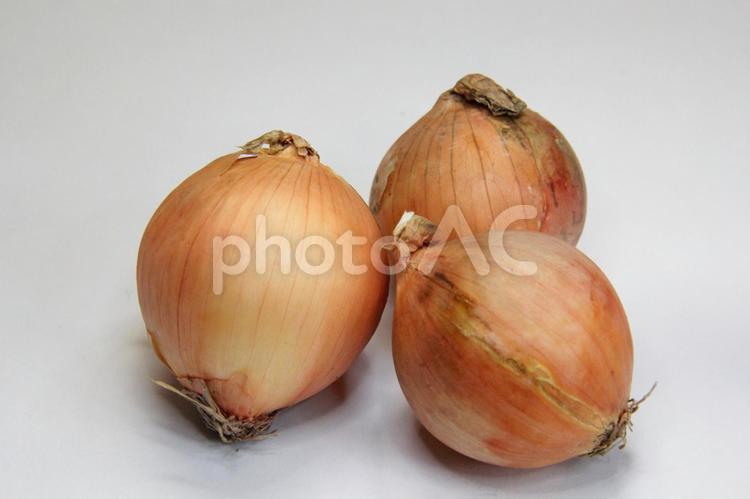 採れたて新鮮な玉ねぎ3 玉ねぎ,タマネギ,玉葱の写真素材