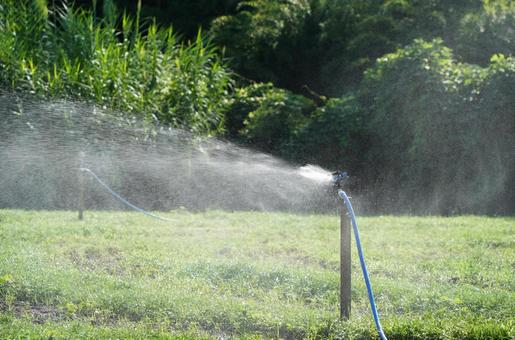 公園の散水スプリンクラー 散水,スプリンクラー,公園の写真素材
