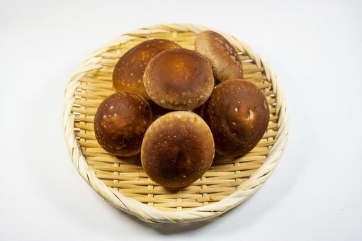 ざるに盛った椎茸 しいたけ,秋,キノコの写真素材