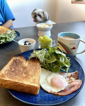 Breakfast and my dog, JPG