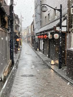 雪の先斗町 雪の先斗町の写真