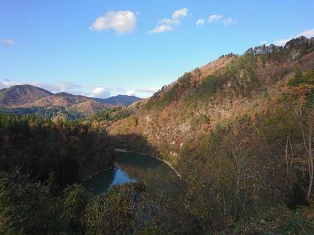 川と紅葉 川と紅葉の写真