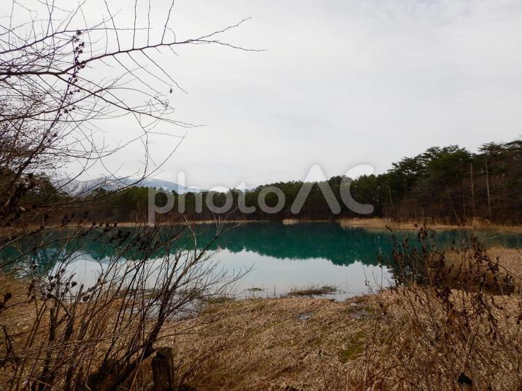 五色沼周辺の景色 五色沼,福島県,2019年の写真素材