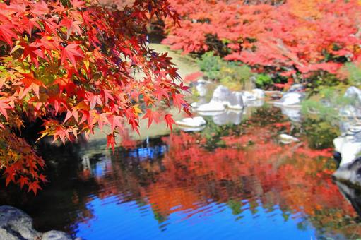 三景園で秋を満喫-3 三景園で秋を満喫-3の写真