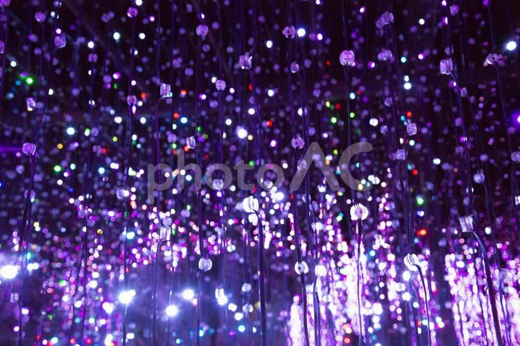 イルミネーション イベント,イルミネーション,夜景の写真素材