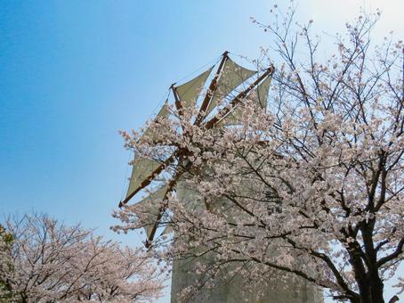 春イメージ〜満開の桜の木と風車 サクラ,桜,春イメージの写真素材