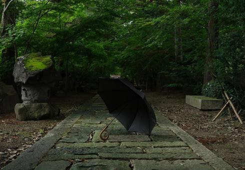 Rainy Day, JPG Rainy Day, JPG