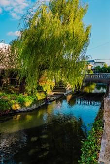 【佐賀】佐賀城跡の周辺 佐賀,風景,sagaの写真素材