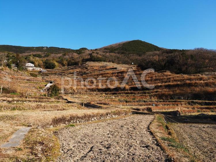 冬の中山千枚田（香川県･小豆島) 小豆島,中山千枚田,棚田の写真素材
