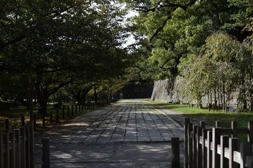 和歌山城公園 和歌山城公園の写真