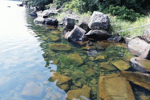 透明で穏やかな流れの川 川,自然,避暑地の写真素材