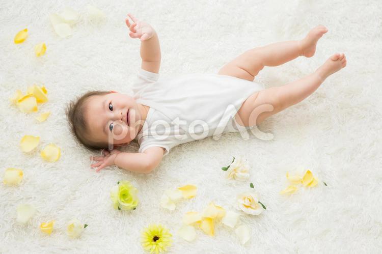花びらと赤ちゃん（笑顔） 赤ちゃん,花,笑顔の写真素材