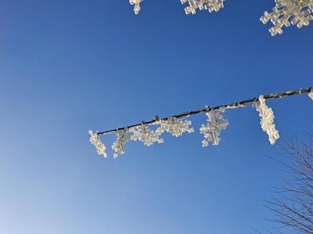 朝の雪の結晶イルミネーション 雪,結晶,イルミネーションの写真素材