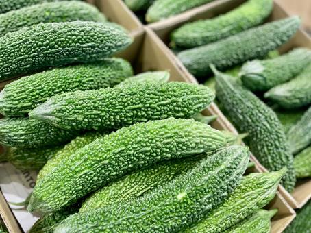 Photo, nigauri, bitter gourd, goya, 
