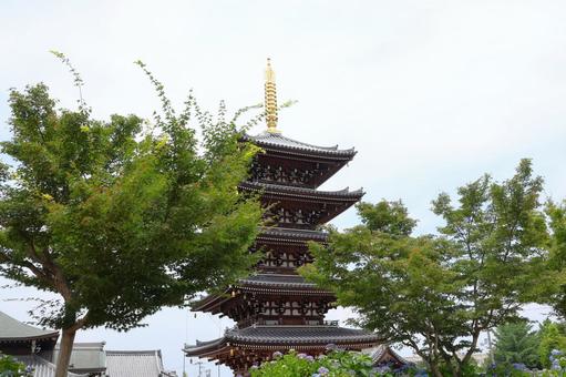 6月中旬の法然寺の五重塔とアジサイの花 6月中旬の法然寺の五重塔とアジサイの花の写真