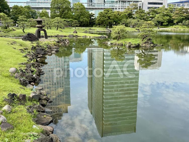 6月　旧芝離宮恩賜庭園 逆さま,マツ,岩の写真素材