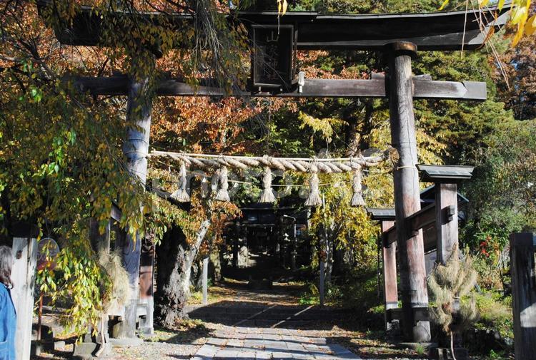 信州上田市真田　山家神社 信州,上田市,真田幸村の写真素材