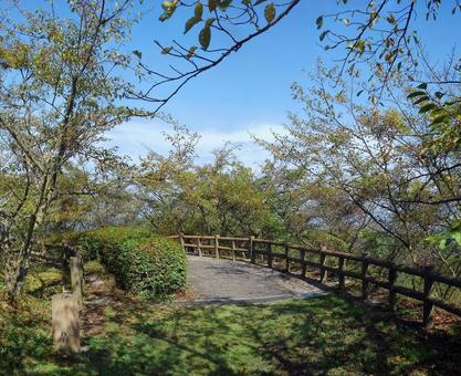 公園入口 公園入口の写真