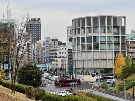 代々木公園通り　代々木公園交番前 代々木公園,代々木公園通り,井の頭通りの写真素材