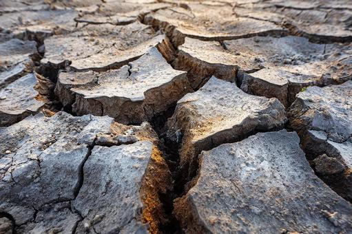 乾燥した大地のクローズアップ 乾燥した大地のクローズアップの写真