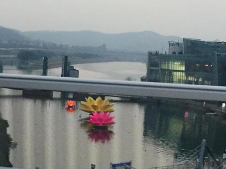 韓国から北朝鮮に繋がる川 韓国から北朝鮮に繋がる川 韓国,蓮の花,梅雨の写真素材