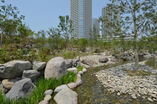 二子玉川公園内の帰真園 二子玉川公園内の帰真園 二子玉川公園,池,飛び石の写真素材