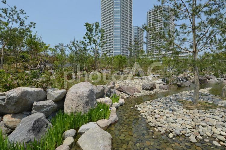 二子玉川公園内の帰真園 二子玉川公園,池,飛び石の写真素材