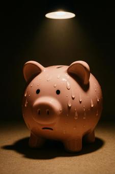 豚の貯金箱(経済的プレッシャー) 豚の貯金箱(経済的プレッシャー)の写真