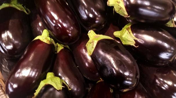 Multiple wild eggplants, JPG