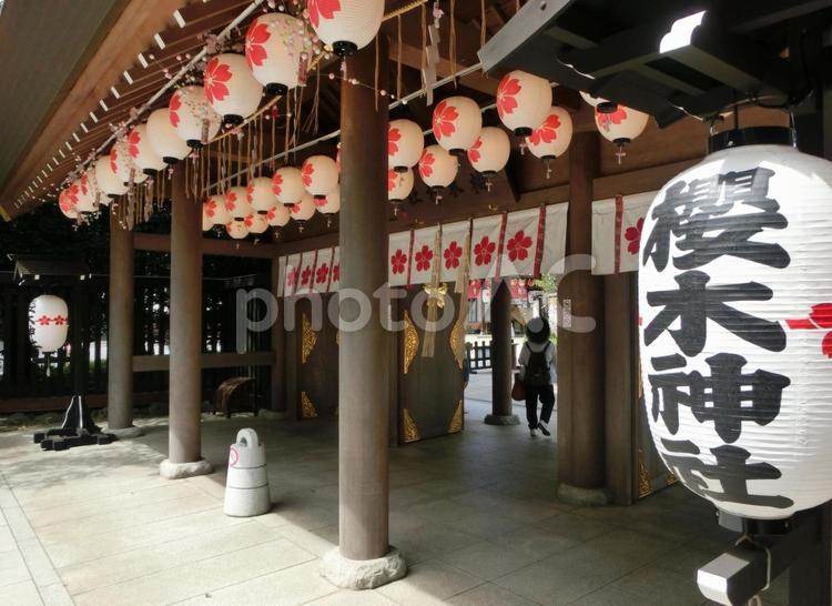 櫻木神社の風景-20 櫻木神社,千葉県野田市,神門の写真素材
