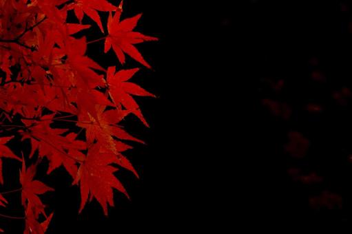 芸術の秋 秋,紅葉,風景の写真素材