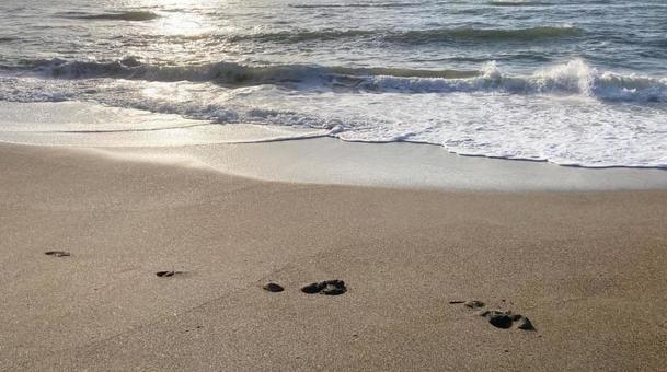 Photo, a wave beach, coastal, beach, 