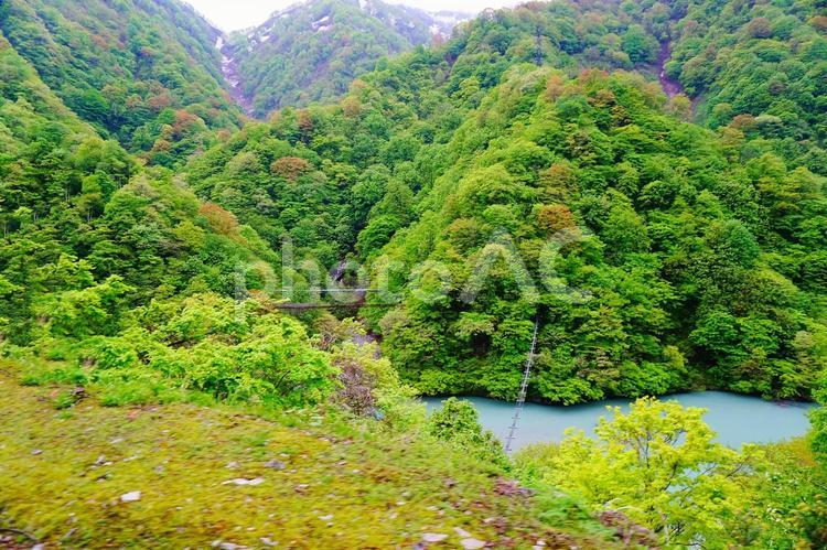 黒部峡谷トロッコから見た猿橋 黒部峡谷,湖,綺麗の写真素材