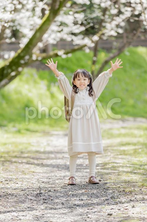 桜並木の下を歩く新一年生 新一年生,一年生,バンザイの写真素材