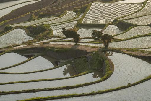 佐賀-【土谷棚田の夕景】 佐賀県,佐賀,松浦市の写真素材