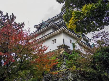 【和歌山県】和歌山市・和歌山城 和歌山城,和歌山市,和歌山県の写真素材
