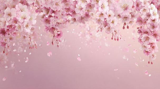 舞い散る桜と春の空気 舞い散る桜と春の空気の写真