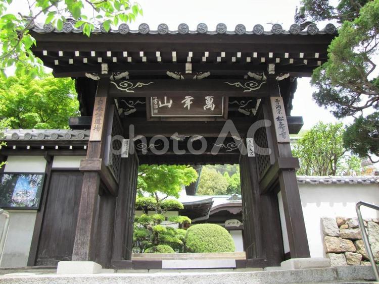 【風景写真】松壽寺(広島県三原市)の風景 松壽寺,曹洞宗,寺社仏閣の写真素材